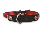 Dog Collars & Leads