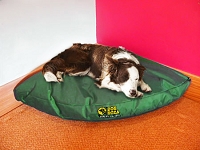 Corner Dog Bed - Waterproof Various Sizes & Colours
