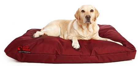 New Chocolate Brown Dog Doza Bed