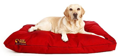 New Chocolate Brown Dog Doza Bed