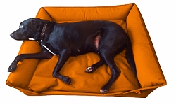 Waterproof Sofa Dog Bed - Various Colours & Sizes