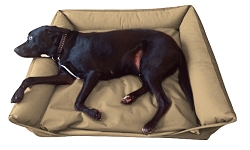 Waterproof Sofa Dog Bed - Various Colours & Sizes