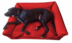Waterproof Sofa Dog Bed - Various Colours & Sizes