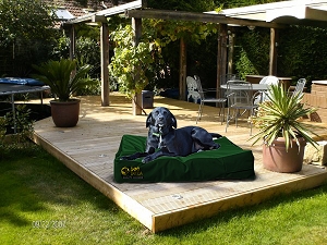 Orthopaedic Dog Bed Waterproof Mattress Various Sizes & Colours