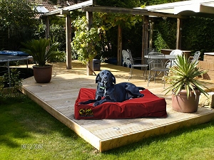 Orthopaedic Dog Bed Waterproof Mattress Various Sizes & Colours
