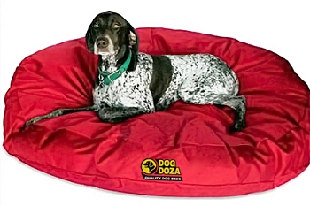 Bean Round Dog Bed Waterproof Durable Various Sizes