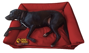 Waterproof Sofa Dog Bed - Various Colours & Sizes