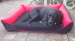 Polar Fleece & Waterproof Sofa Bed Various Colours & Sizes