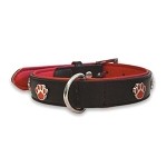 Dog Doza Charm Leather Dog Collar