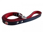 Dog Doza Charm Leather Dog Lead