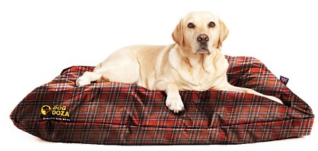 Waterproof Dog Bed Durable Medium 100cm x 70cm Various Colours
