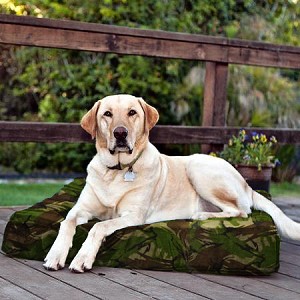Orthopedic Dog Doza Bed - Memory Foam 7cm Thickness (3 inches) - Durable - Waterproof - Free Delivery
