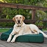 Orthopedic Dog Doza Bed - Memory Foam 7cm Thickness (3 inches) - Durable - Waterproof - Free Delivery