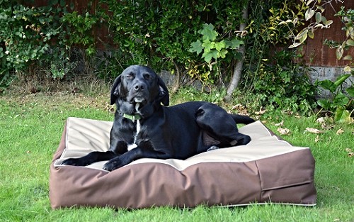 Orthopaedic Active Style Waterproof Memory Foam Topped